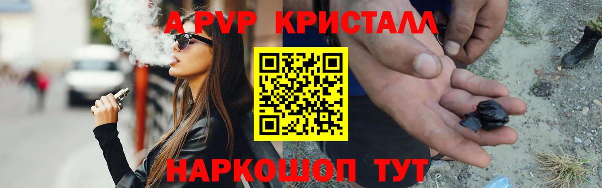 A PVP СК Новошахтинск