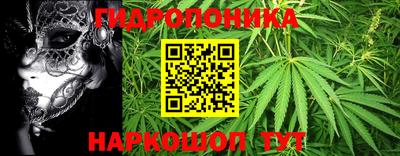 ПСИЛОЦИБИНОВЫЕ ГРИБЫ Свободный