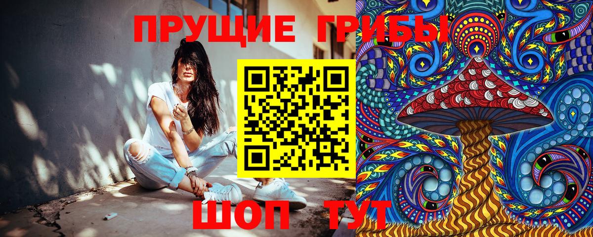 Новошахтинск  Галлюциногенные грибы Psilocybe  Псилоцибиновые грибы Psilocybe  Вход с VPN 
