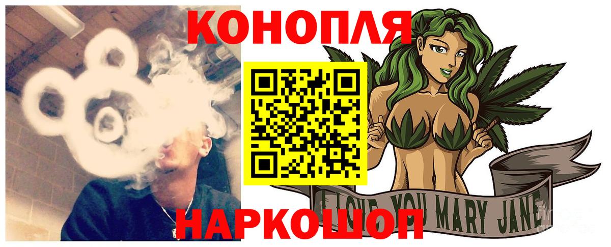 Бошки Шишки планчик Новошахтинск