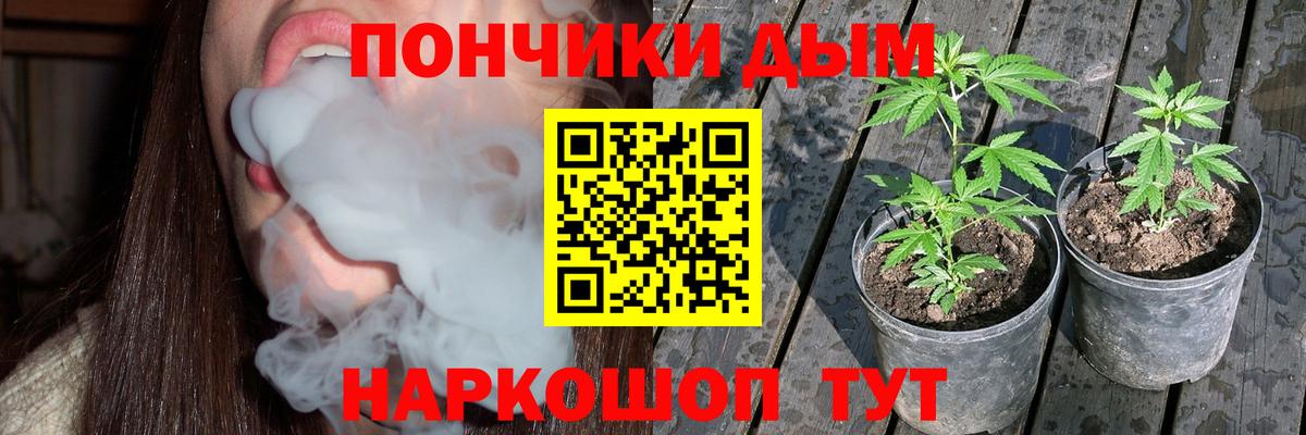 Бошки Шишки планчик  Конопля LSD WEED  Бошки марихуана тримм  Новошахтинск  Вход с VPN 